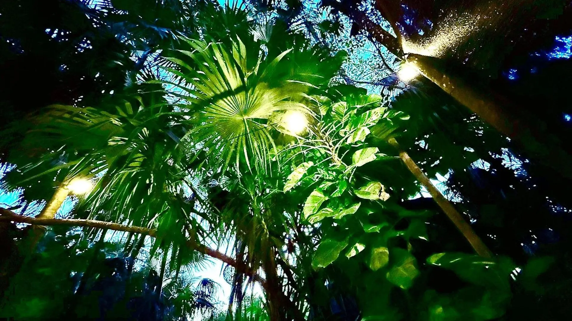 Kck Tulum Rooms 0*,  Mexico